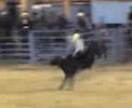 3er. Participante en la Competencia de Montada de Toro @ Rodeo en la Feria Ganadera (Santo Domingo, Republica Dominicana). Nada mas que a este el Toro le paso por encima y lo tuvieron que sacar cargado y se le rompieron dos costillas.