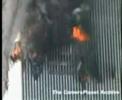 WTC Thermite? WTC Thermite?