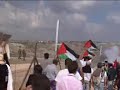 European parliament members brutalized by Israeli soldiers