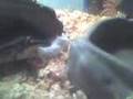 None (140.3G2) for November 28, 2007, 12:00 PM
