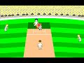 cricket death