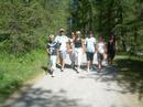 the group of allos