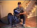 Dog Pack: Sizing and Fitting