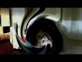 videos de Piggy