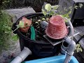 water-lettuce-water-hyacinth-my-skippy-design-filter-.html