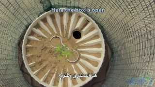 (Arabic subtitles) Results of reforestation experi