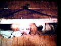 The Evil Dead clip 2