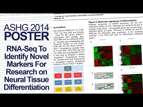 how to isolate human neural stem cells