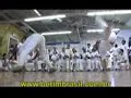 Mestre Canguru - Agua de Beber Mestre Canguru - Agua de Beber