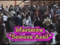 Marimba Sonora Azul-Ilusion de mi vida vid 1