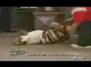 Midget fights Midget fights