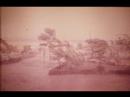 photos souvenirs du cameroun