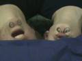 videos de The Bob and Jim Show
