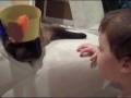 videos de Mr. Thanksgiving