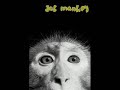 Dub Munkey - Fog of Love Dub Munkey - Fog of Love