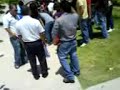 NOVATADA ARQ-2009-ITESCA..!!!