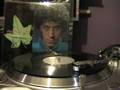 Paul Hardcastle Rain Forest