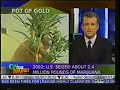 Marijuana Prohibition on CNBC\