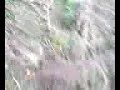 Man Killed