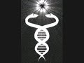 Kundalini Rising - Tesseract