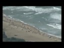ANNABA EN HD / OUED EL BAGRAAAT ANNABA EN HD / OUED EL BAGRAAAT