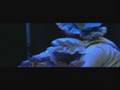 videos de Inside Victorian Oamaru  Experience New Zealands Past in the Present