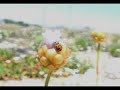 Documentário sobre a Reserva Natural do Estuário do Sado