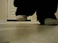 cwalkin vid