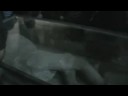 contiki-07-pompeii-victims.html