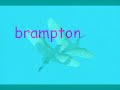 brampton desi love story