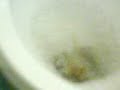 el gran mojon