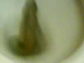 el gran mojon