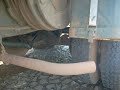 QT Ford F600 6x6