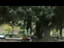 Scoppolone - Returns Scoppolone - Returns
