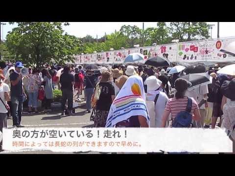 NAVER まとめサザンオールスターズ ライブDVD2013 “灼熱のマンピー!! G★スポット解禁!!" 胸熱完全版
