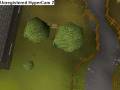 videos de funny runescape glitch