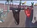 Las Tangas de mi Prima en el tendedero