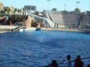 VACANCE 2008