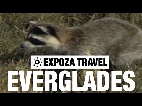 Everglades National Park Travel Guide