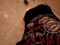 Bebemora��o 1 (fight)