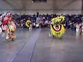 Mylan and Spike Ruffle it out!!! Mylan and Spike Ruffle it out!!!