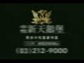 爸爸的二支[房屋廣告]音樂 [中悅新天鵝堡 & 鄉林總裁行館]