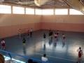 Balonmano San Felipe Neri vs liceo
