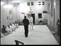 Bishido Techniques.mpg