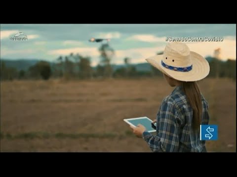 Veja os impactos da tecnologia 5G na agricultura e na indústria