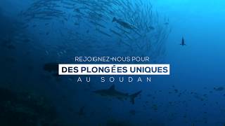 Découvrez le Soudan - Campagne de Pub Alysés Plongée