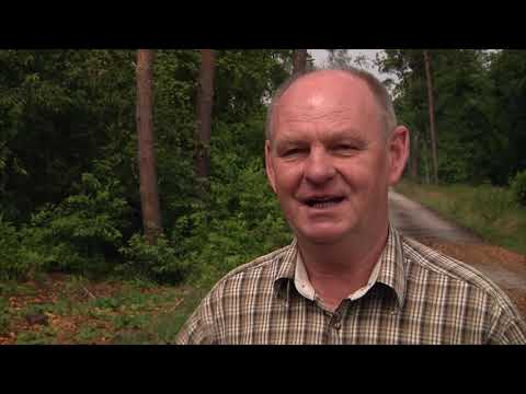 Aby powrócił las...