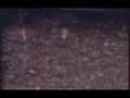 corinthians - invasão do maracanã 1976 - histórico