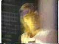Andre Agassi Donnay Commercial (1991)