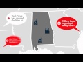 American Red Cross - Dell